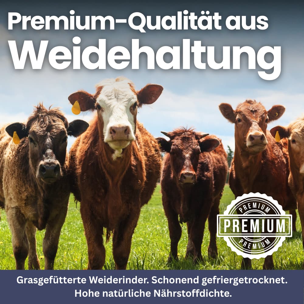 Beef Liver Capsules – Energy & Vitality