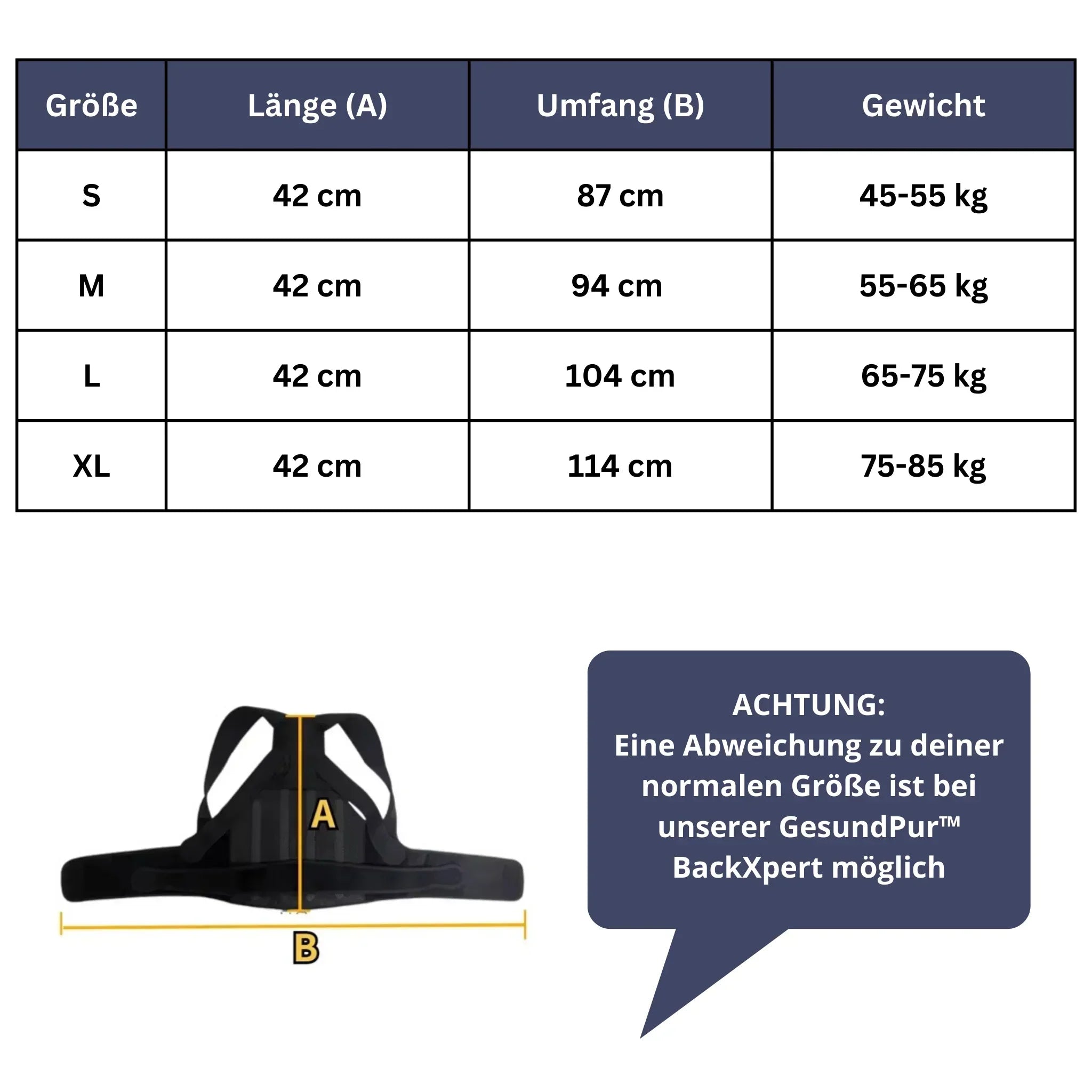 BackXpert Back Support Belt