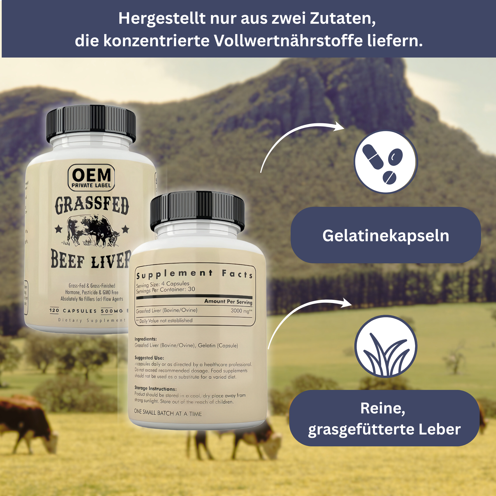 Beef Liver Capsules – Energy & Vitality