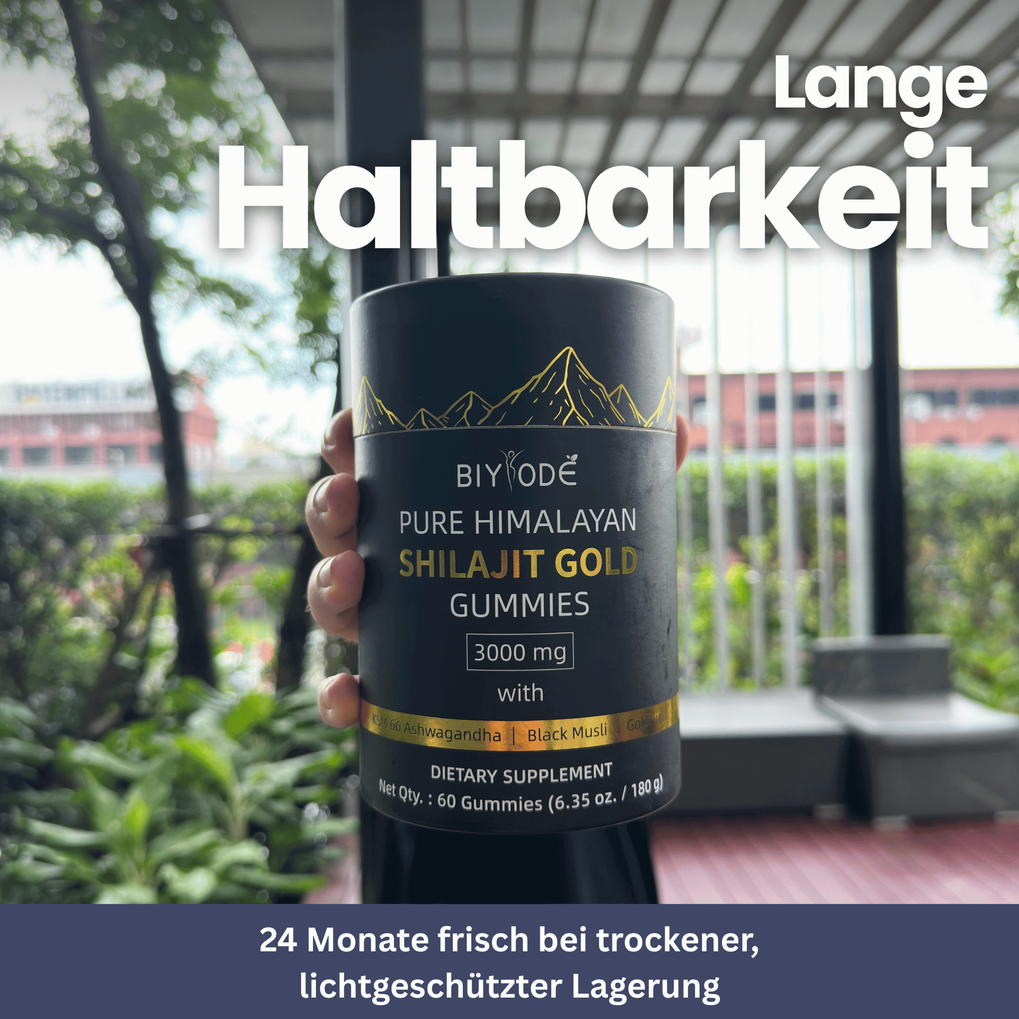 Shilajit Gold Gummies